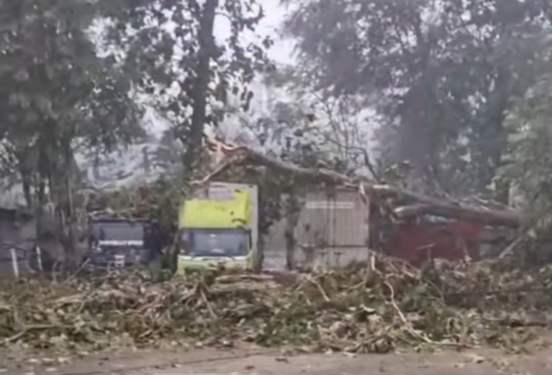 Cuaca Ekstrem di Batang, Tiga Warga Meninggal Tertimpa Pohon dan Tiang Listrik