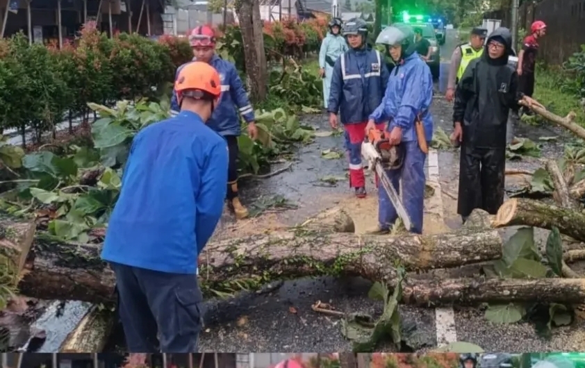 Banyumas Dilanda 44 Bencana dalam Semalam, Puluhan Rumah Rusak, Dua Warga Dilarikan ke RS