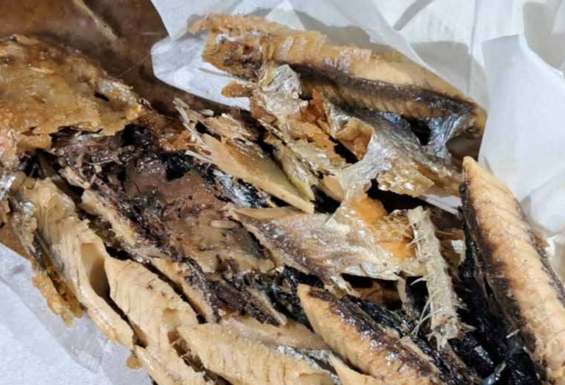 Kacau, Menu MBG di Jepara Ditemukan Belatung dan Jamuran, SPPG Penyedia Diusulkan Ditutup Sementara