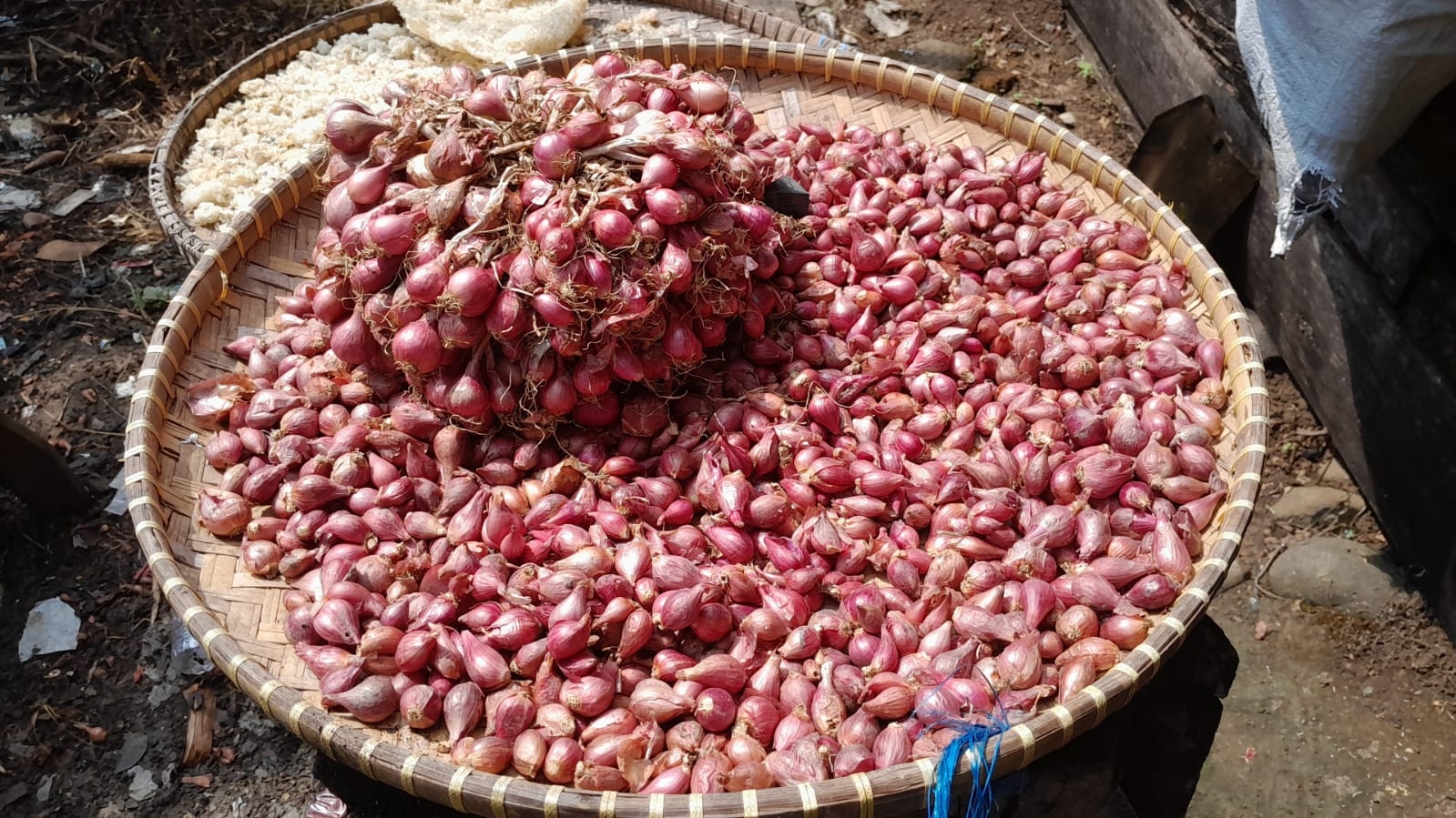 Harga Bawang Merah Anjlok Saat Lebaran, Nasib Pilu Petani Kendal Alami Kerugian Puluhan Juta