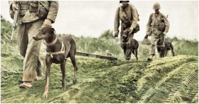 Tembus Rekor Dunia! 10 Perang Tersingkat dalam Sejarah, Nomor 1 Hanya 38 Menit