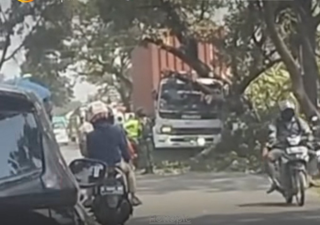 Truk Kontainer Hantam Pohon di Welahan Jepara, Satu Pemotor Terluka, Ini Kronologinya