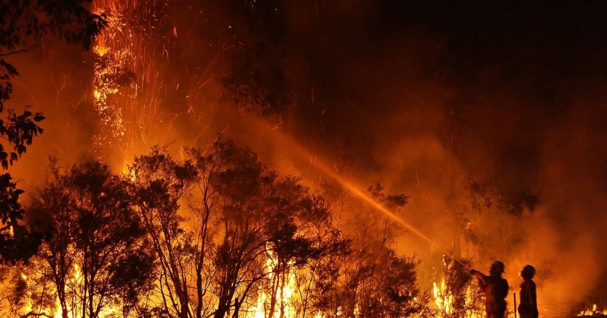 Lawu Terbakar 100 Hektar, Sebangau Menyala: Peta Karhutla 18 Oktober 2026 yang Bikin Gelisah