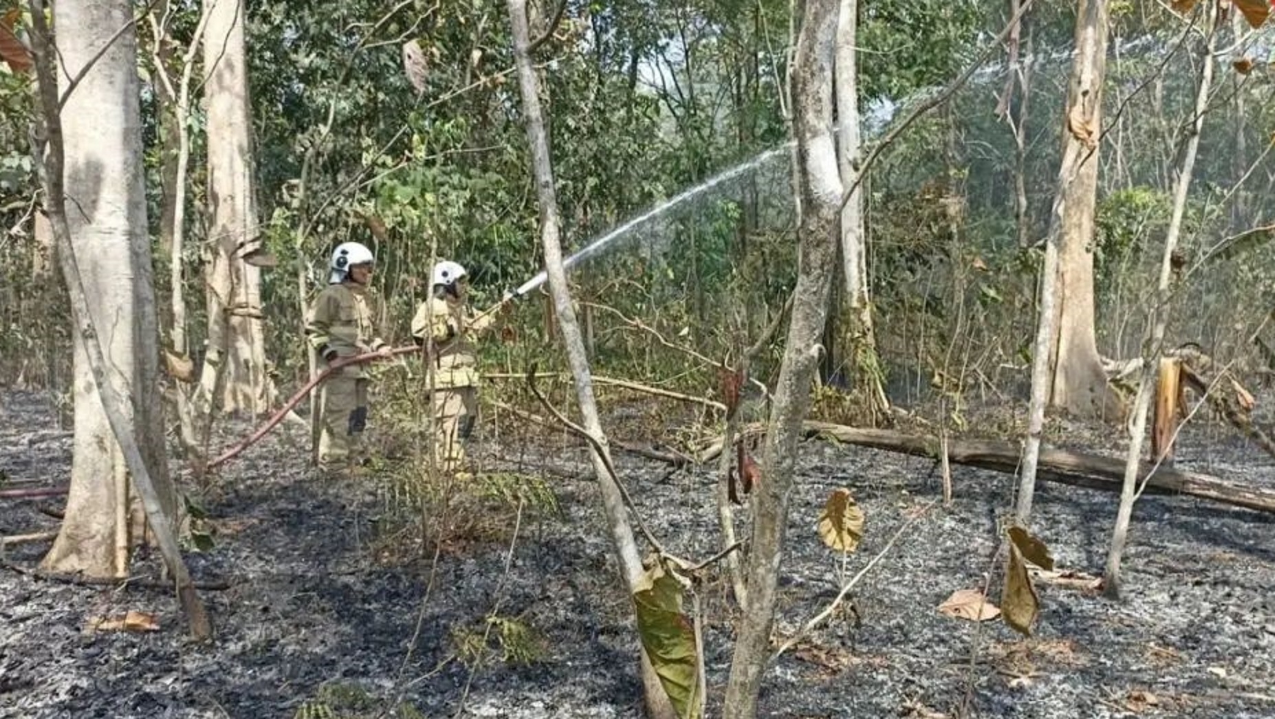 Puncak Kemarau di Jateng, BMKG Minta Masyarakat Waspadai Kebakaran Hutan