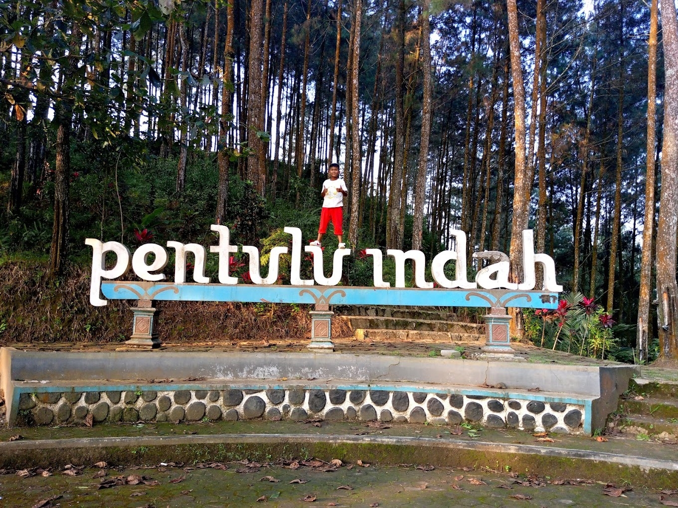 Menikmati Wisata Alam Kebumen dengan Berkunjung ke Bukit Pentulu Indah