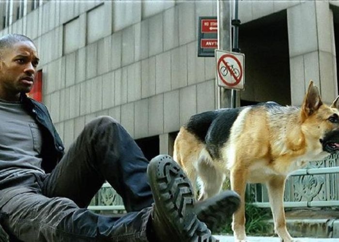 Perjalanan Legenda Berlanjut: Will Smith dan Michael B. Jordan Bersatu di I Am Legend 2
