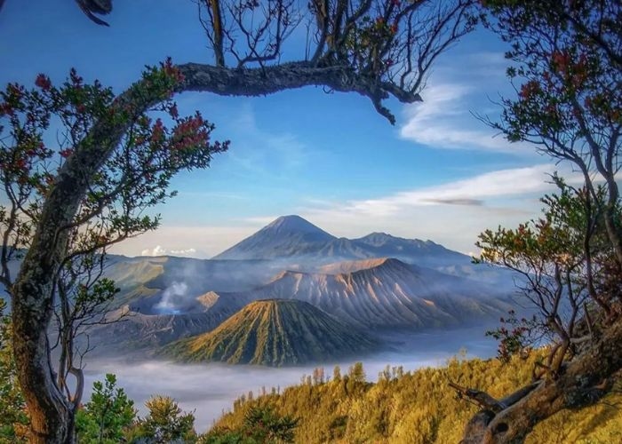 Nikmati Keindahan Sunrise Dari Puncak Gunung Bromo: Tips dan Panduan Praktis