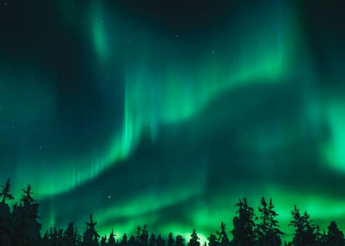 Pesona Mistis Putri Hijau: Cantik yang Membawa Keajaiban Dalam Sejarah dan Legenda