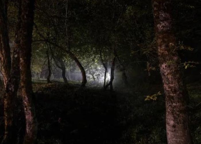 Misteri Suara Langkah Kuda: Keajaiban dan Keangkeran Malam Jumat di Puncak Gunung Raung