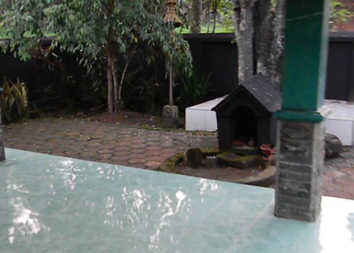 Misteri  dan Mitos di Sumur Windu, Keajaiban Mistis di Tengah Kota: Antara Pemujaan dan Kenyataan