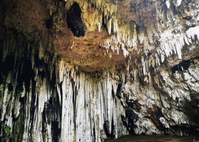 Goa Kalak: Keindahan dari Masa Prasejarah dan Misteri yang Menyelimutinya di Kabupaten Pacitan