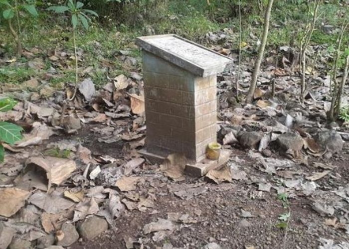 Makam Massal di Kampung Plumbon, Semarang: Kehidupan dan Misteri di Balik Pemakaman yang Dilupakan