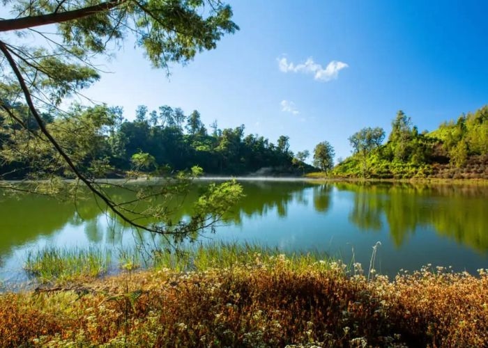 Menjalani Sejarah Beserta Keindahan Alam Ranu Regulo: Destinasi Camping Terbaik di Tengah Taman Nasional Bromo Tengger Semeru