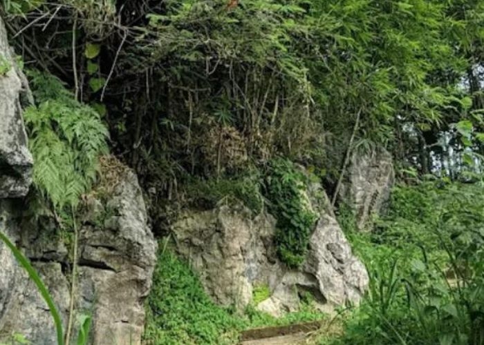 Misteri yang Menyelimuti Goa Sarongge Sukabumi: Keindahan Alam dan Kisah Kerajaan Ajaib yang Tersembunyi