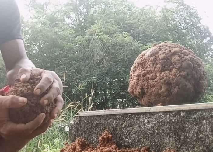 Kisah Angker dan Juga Mitos Mengenai Gelu: Sering Dikaitkan dengan Adanya Pulung Gantung di Gunungkidul