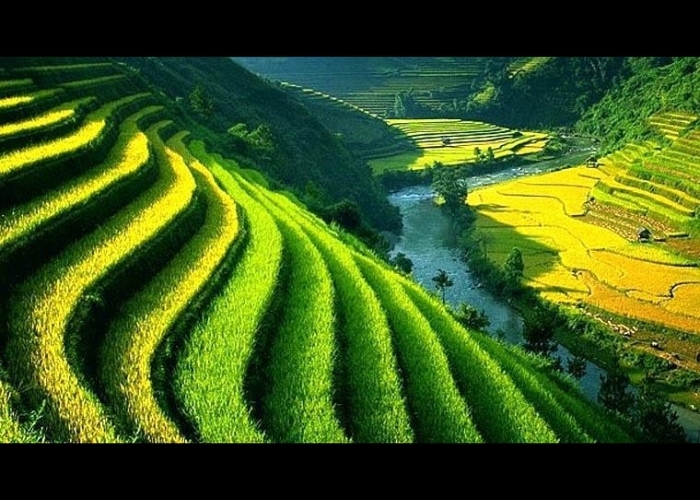 Menyelami Keunikan Sistem Subak: Kearifan Lokal Pengelolaan Air di Bali dan Sudah Diakui UNESCO Sebagai Warisan Budaya