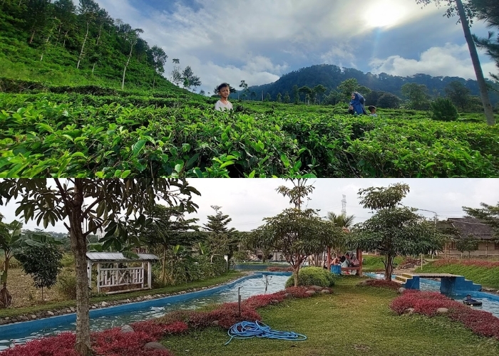 Menjelajahi Pesona Tersembunyi Boja, Kendal: 7 Destinasi Wisata Hits yang Wajib Dikunjungi di Tahun 2024