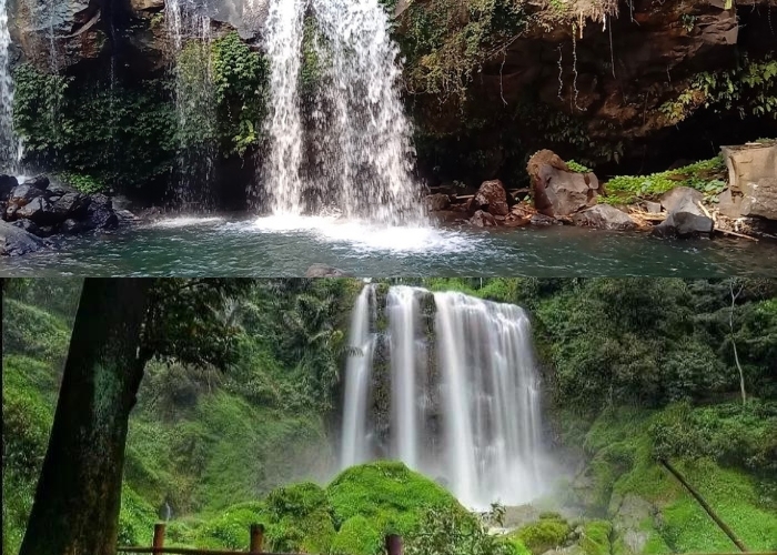 Kendal Hidden Gems! Mengulik Surga Tersembunyi di Kendal Melalui Pesona 4 Air Terjun yang Jarang Diketahui! Bersiap Berpetualang?