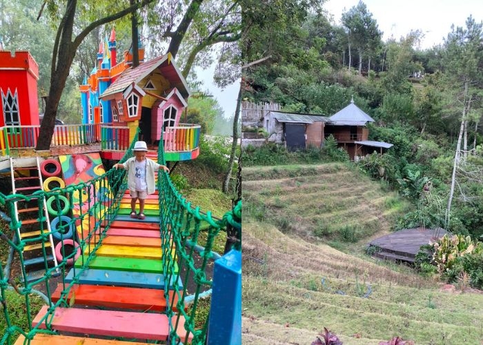 Jatim Vibes! Mari Berekreasi Keluarga di Batu Eduplay Malang: Wisata Bermain Anak di Tengah Hutan Pinus yang Asri