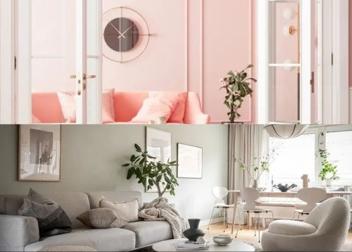 Info Tips Rumah Tangga! 6 Warna Cat Ruang Tamu yang Bikin Rumah Tampak Mewah dan Luas, Nomor 4 Paling Tren!