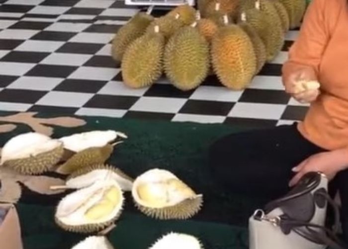 Jateng Vibes! Libur Akhir Tahun di Pekalongan: Nikmati Sensasi Durian Kasmur yang Legendaris di Desa Pedawang!