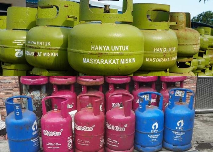 Update Harga Gas Elpiji, Senin 30 Desember 2024 di Indonesia: Stabil, Tapi Ada Perbedaan di Berbagai Daerah, Cek Wilayahmu!