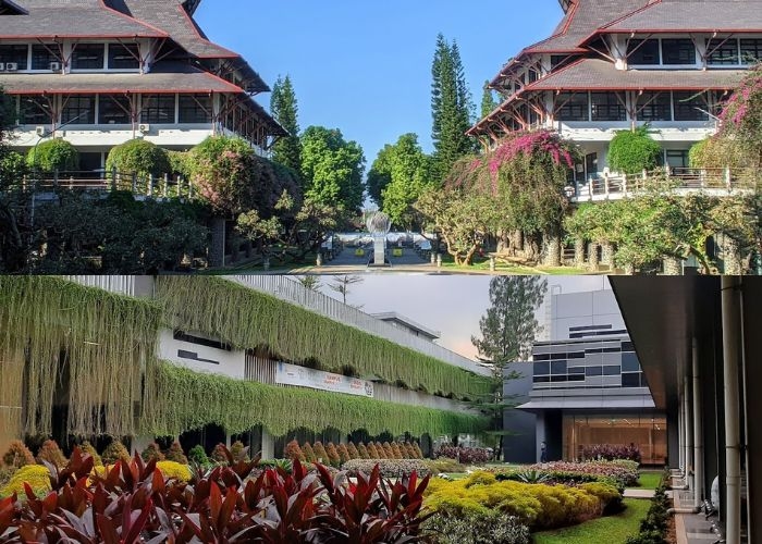 Membanggakan! Daftar 9 Kampus Terbaik Indonesia Bidang Marketing Versi EduRank, Masuk Jajaran Top 200 Asia! Apakah Ada Kampusmu?