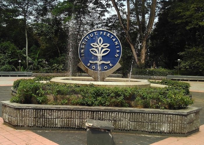 MENGEJUTKAN! Ternyata Ada 9 Jurusan yang Masih Sepi Peminat di IPB, Bisa Jadi Kesempatan Emas untuk Calon Mahasiswa!