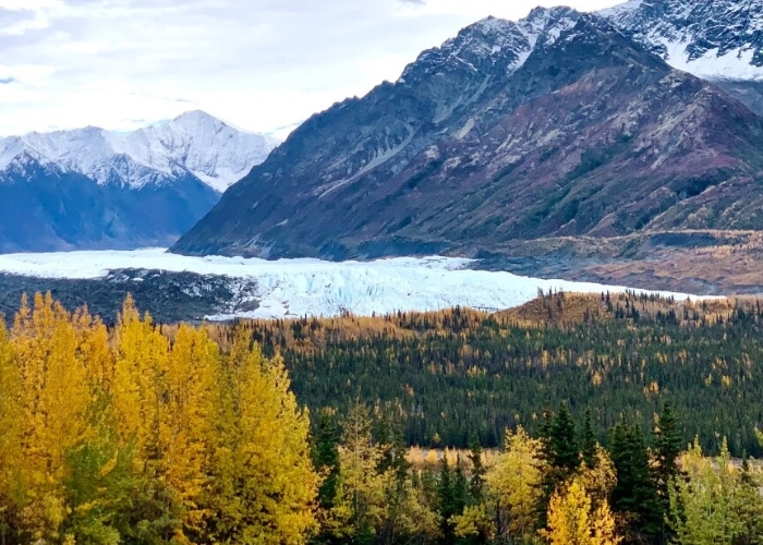 Gokil! Kanada Ancam Putus Akses Amerika Ke Alaska Sebagai Impas Penerapan Tarif Impor! Donald Trump Kaget Bukan Main!