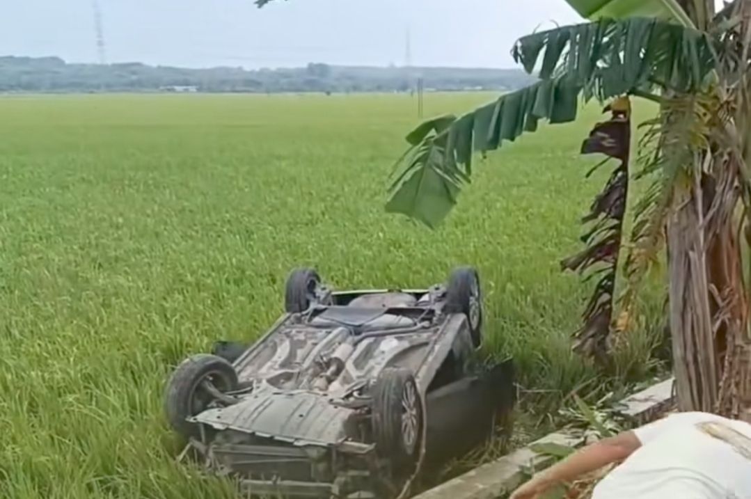 Gagal Nyalip Truk, Honda Brio Terguling Masuk Sawah di Jeketro Grobogan