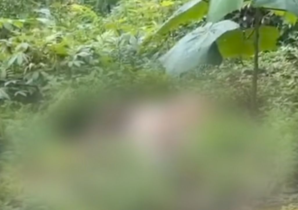 Misteri Mayat Perempuan Tanpa Busana di Perkebunan Desa Sengon Batang, Polisi Lakukan Penyelidikan
