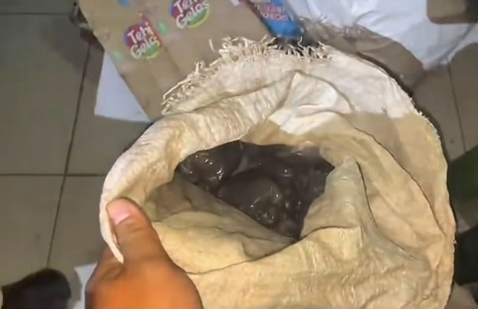 Polres Kudus Ungkap Peredaran Bahan Peledak Melalui Patroli Siber, Amankan 15,5 Kg Serbuk Mercon dan 3 Tersangka