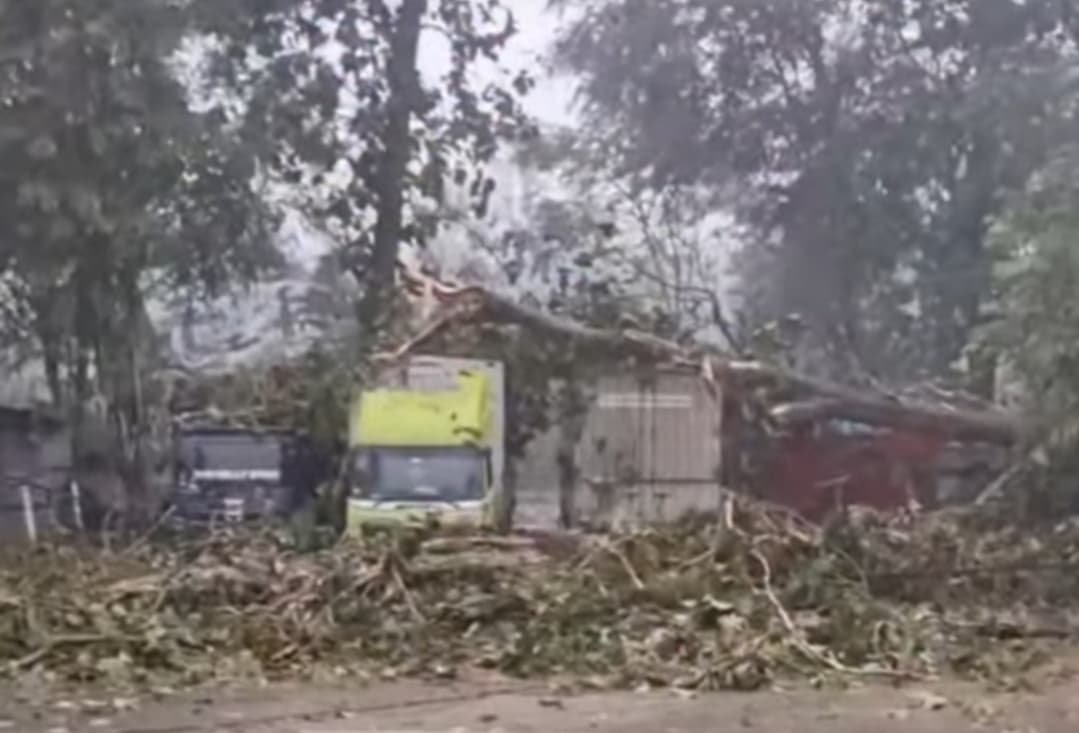 Cuaca Ekstrem di Batang, Tiga Warga Meninggal Tertimpa Pohon dan Tiang Listrik