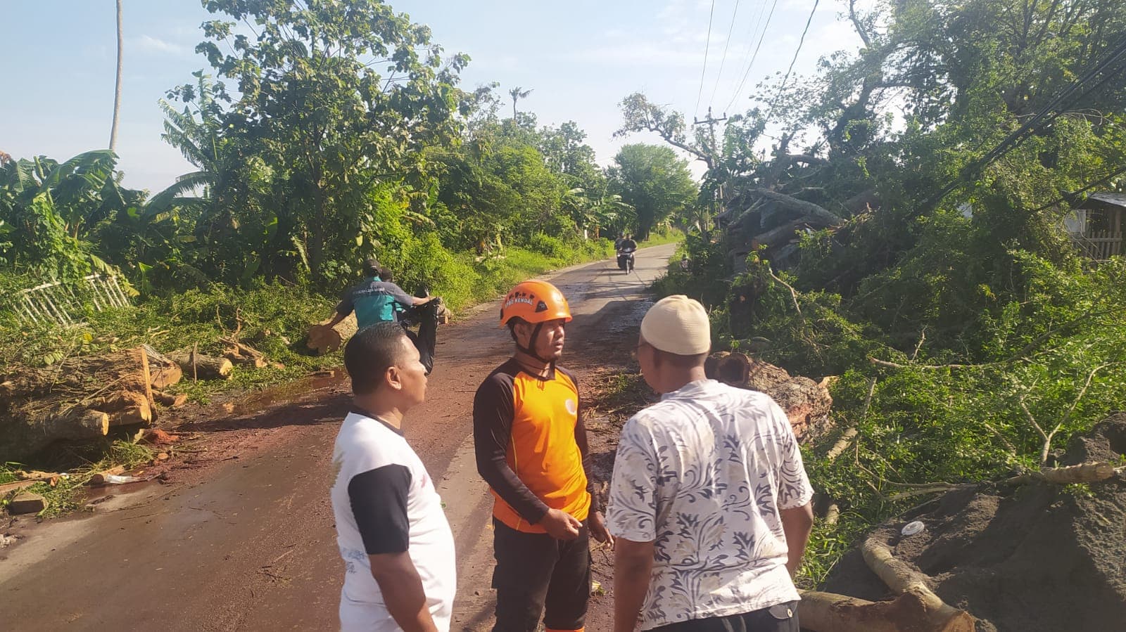 Puluhan Pohon Tumbang hingga Baliho Roboh, Angin Kencang Terjang Kendal