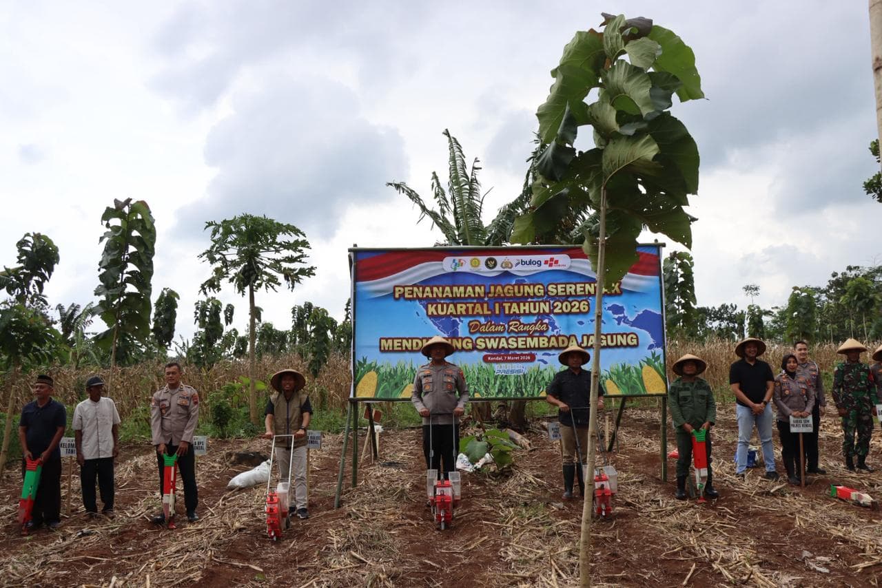 Polres Kendal Gelar Tanam Jagung Serentak, Perkuat Sinergi Polisi dan Petani
