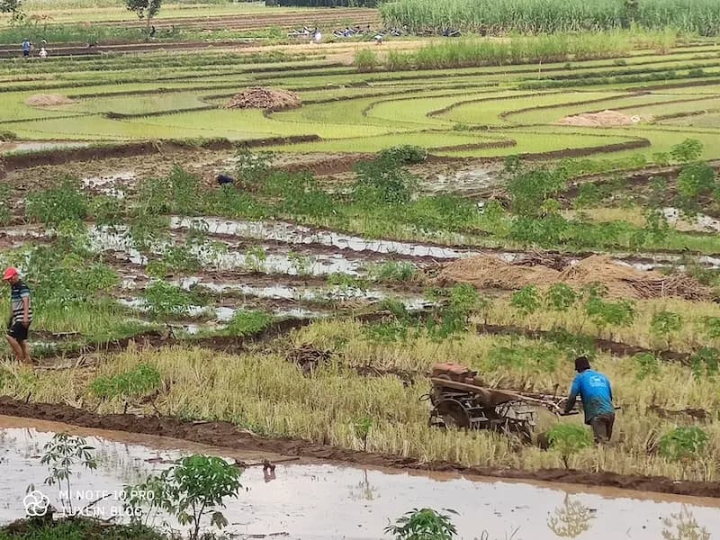 Pasar Pisang Terbesar hingga Stasiun 1870: Menyusuri Fakta Unik Seputar Juwangi, Boyolali