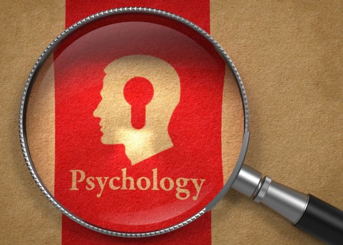 Melihat 4 Peluang Karir Bagi Lulusan Psikologi Selain Sebagai HRD dan Psikolog