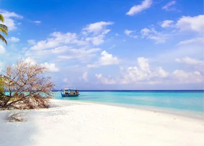 Wisata Menyusuri Pulau Pari  di Kepulauan Seribu, Menikmati Alam Sambil Snorkeling dan Bermain Banana Boat