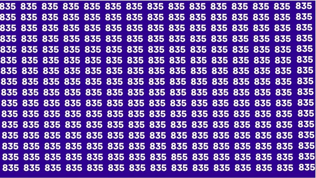 Pesona Ilusi Optik: Temukan Angka Sulit 855 Diantara Angka 835 Dalam Waktu 6 Detik, Apa Kamu Sanggup?