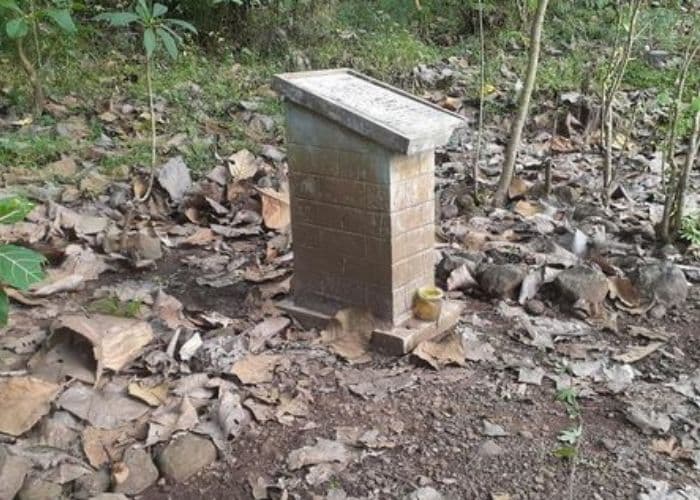 Makam Massal di Kampung Plumbon, Semarang: Kehidupan dan Misteri di Balik Pemakaman yang Dilupakan