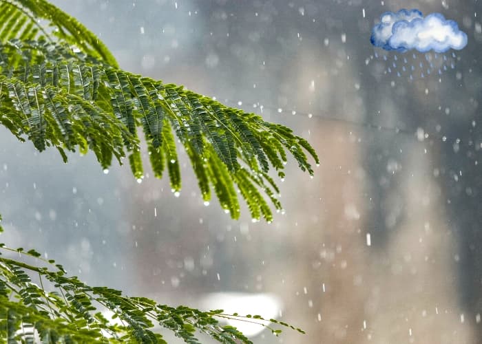 Prakiraan Cuaca Kabupaten/Kota di Jawa Tengah, Minggu 16 Maret 2025! Panduan Praktis Aktivitas Luar Ruangan