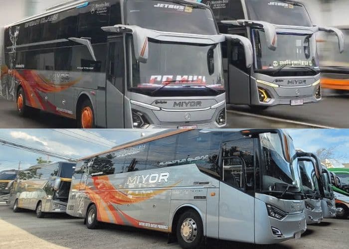 Mudik Lebaran 2025 Terasa Nyaman dengan Menggunakan Sleeper Bus PO Miyor! Cek Fasilitas, Jadwal dan Harga Tiket