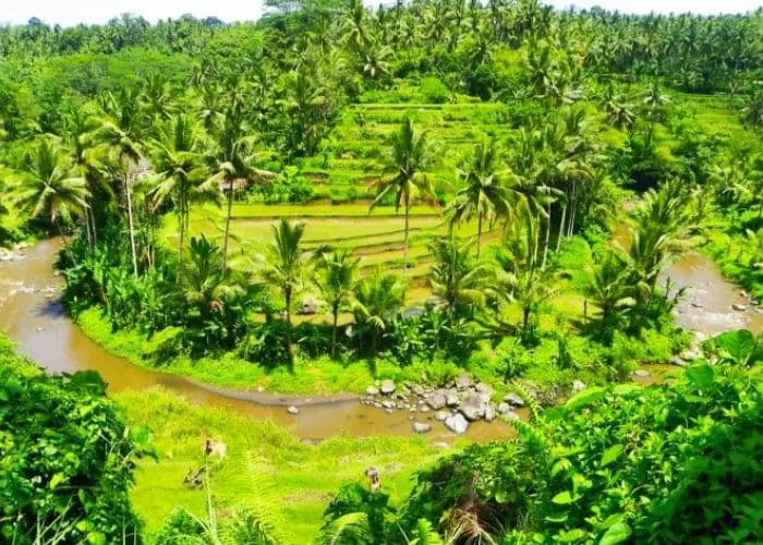 5 Fakta Seru Sungai Ayung Bali yang Bikin Pengalaman Rafting Kamu Nggak Terlupakan!