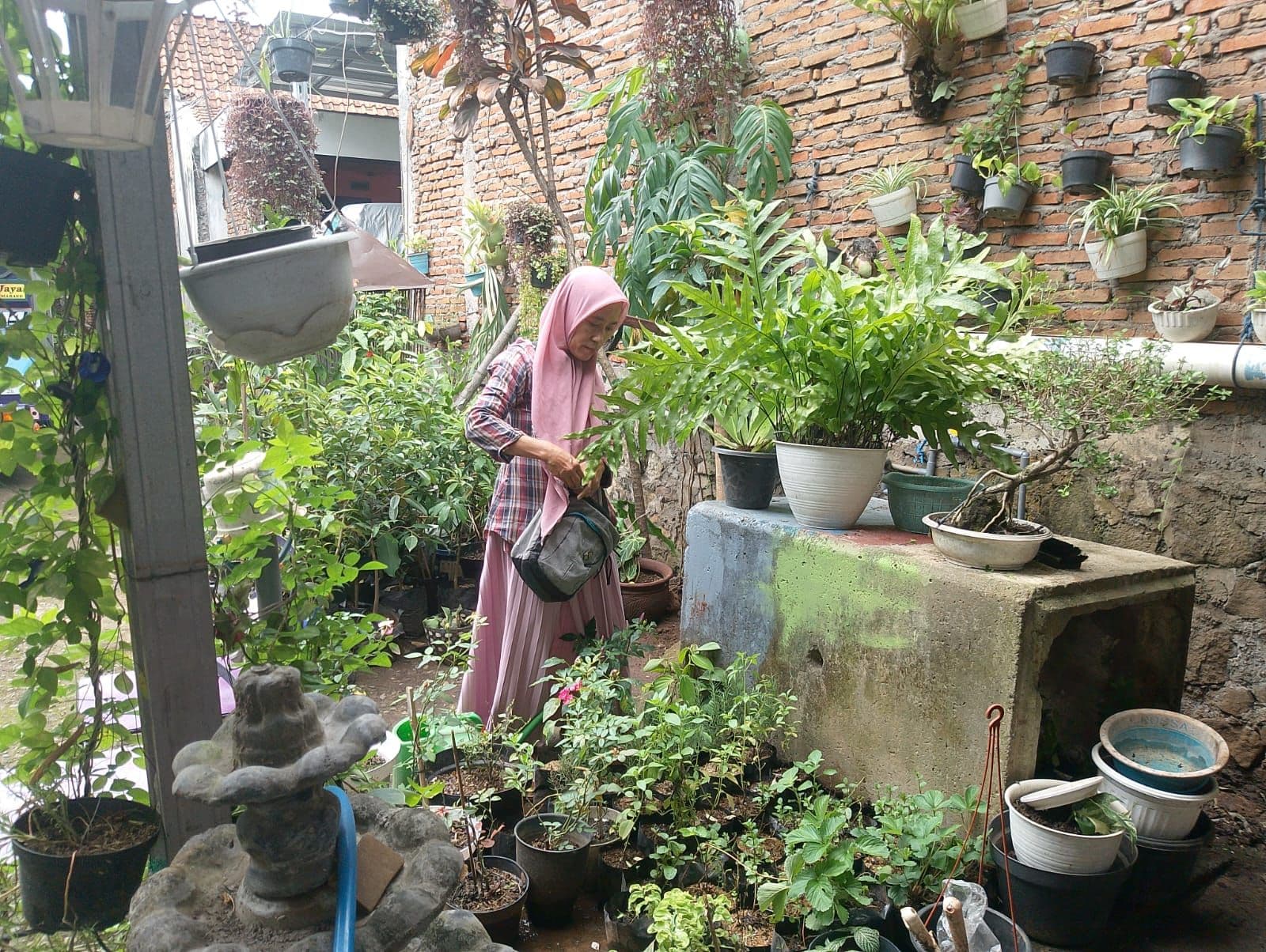 Ketua Muslimat NU Bulusan, Dari Hobi Berkebun Jadi Sumber Penghasilan