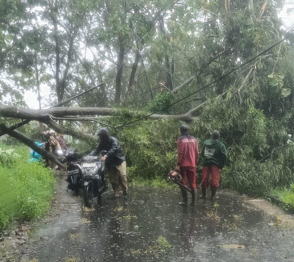 Waspada Bencana Hidrometeorologi, Pemkot Semarang Beri Imbauan ke Masyarakat