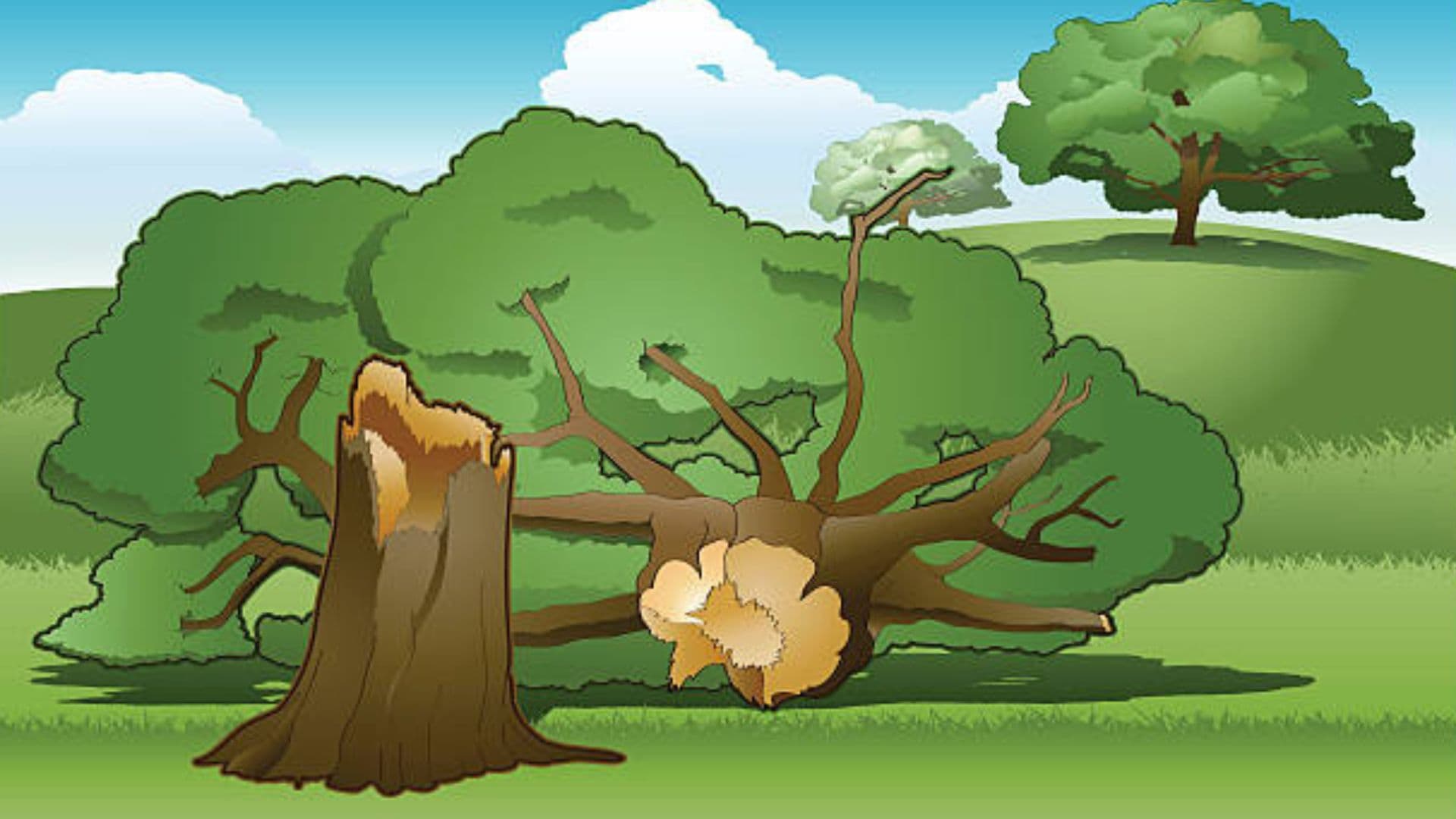 Waspada Cuaca Ekstrem: Daftar Kejadian Pohon Tumbang di Beberapa Wilayah Indonesia Sepanjang Januari Hingga Awal Maret 2026