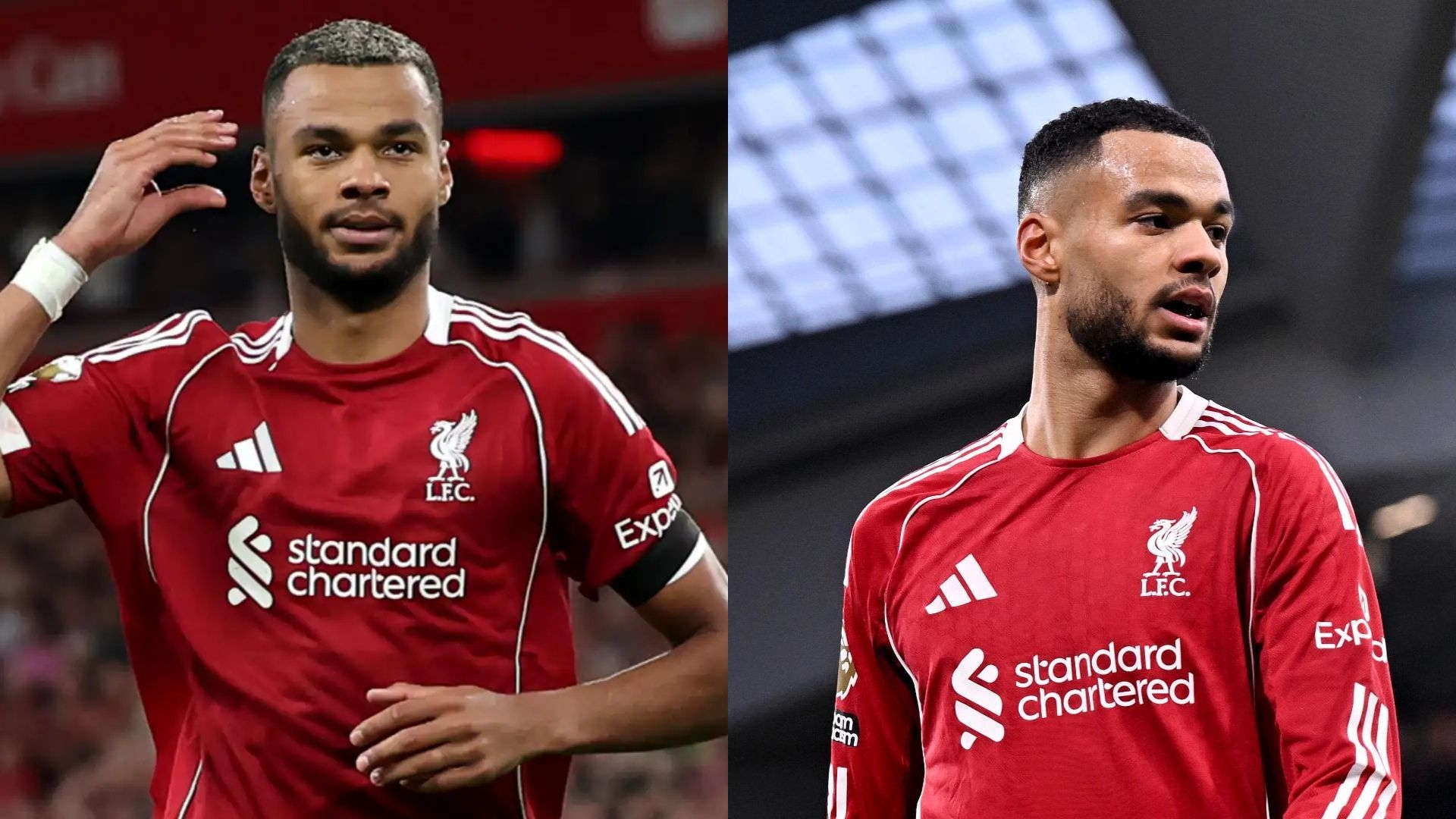 Kesepakatan Personal Tercapai! Gakpo Siap Tinggalkan Liverpool ke Tottenham