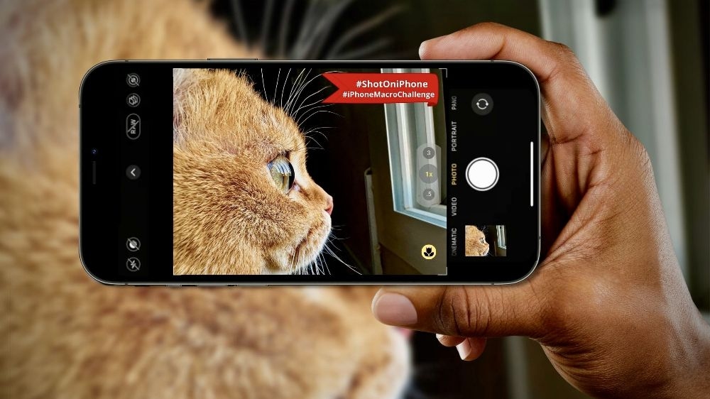 Jangan Lewatkan! 6 Fitur Tersembunyi Kamera iPhone yang Wajib Dicoba