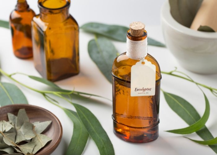 Ternyata Minyak Kayu Putih Banyak Khasiatnya dan Ini 4 Manfaat yang Dirasakan