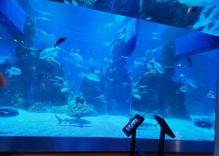 Berikut 5 Lokasi Refreshing Indoor di Jakarta di Tengah Polusi Udara Menyerang